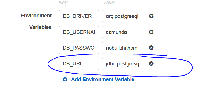 definition variables with DB_URL encircled