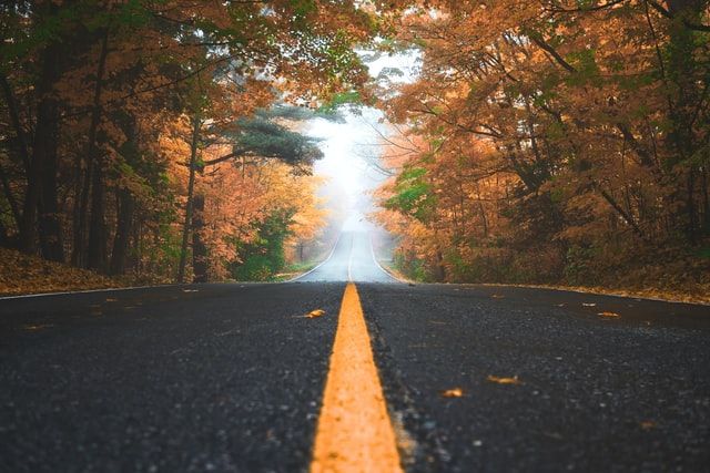 road in the fall